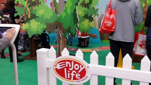 enjoy-life-booth-use-20170211_103435_resized