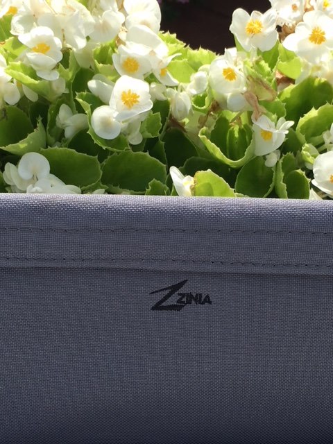 Cancer: My Friend’s Story