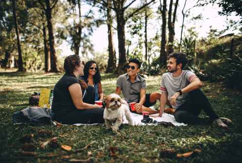 friends in sitting in park
