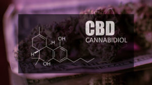 cannabidiol-cbd-300x169