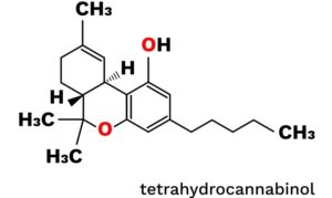 tetrahydrocannabinol-1-300x179