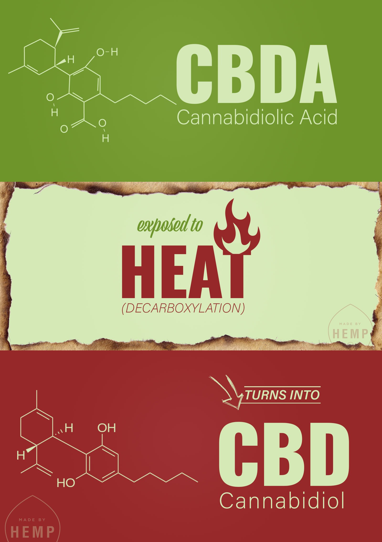 CBDA-precursor-cbd_2a