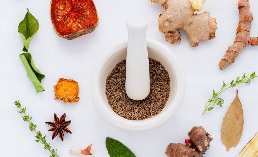 Terpenes-Other-Plants