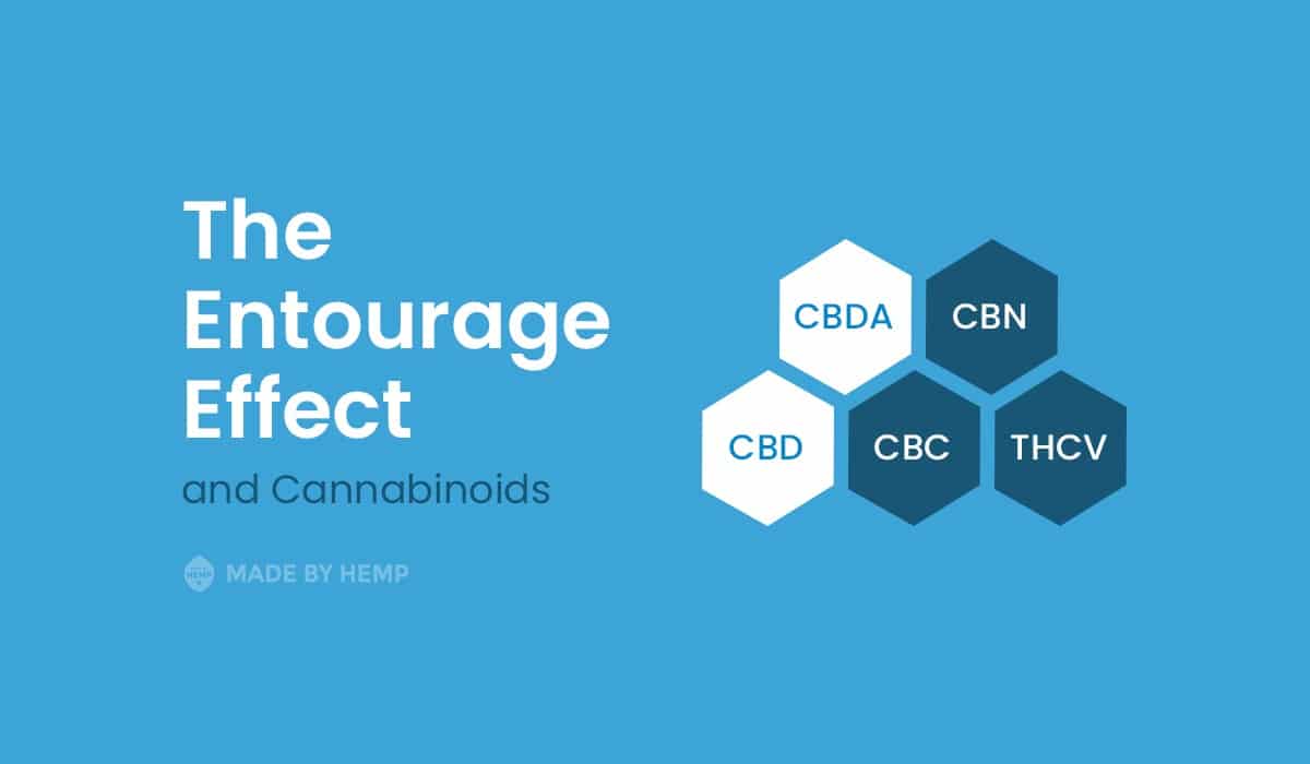 The-Entourage-Effect-and-Cannabinoids
