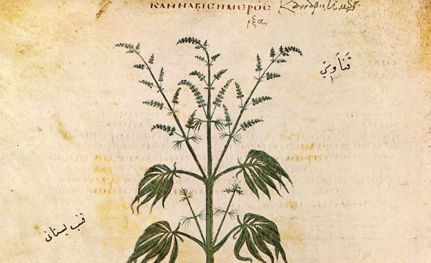 hemp-ancient_1